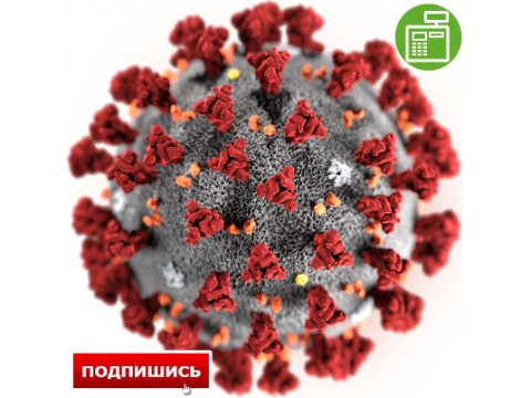 Коронавирус отступает