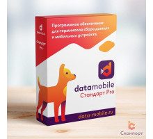 DMcloud: ПО DataMobile, версия Стандарт Pro (LifeTime, арт. DMPro)