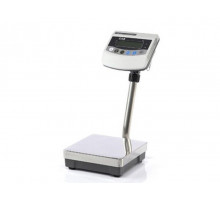 Весы напольные CAS BW-150RB