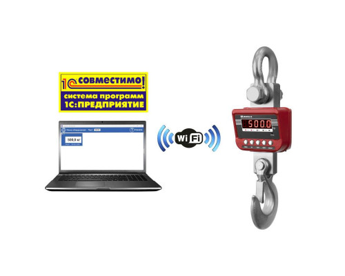 Весы крановые Масса-К ЕКМ-6000/2-W (морозостойкие с Wi-Fi)