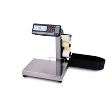 Весы с печатью этикеток Масса-К MK-32.2-R2L10-1