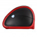 Принтер этикеток CST DP-24 (203dpi, USB/RS-232)