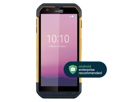 Терминал сбора данных CipherLab RS36 (2D SE4100, 4/64Gb, WiFi/BT/NFC/GPS/LTE, Andr.12, Камера, ПО Генератор приложений)