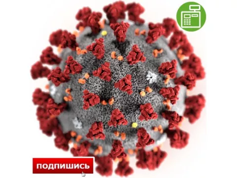 Коронавирус отступает