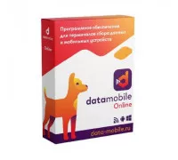 ПО DataMobile, версия Online (LifeTime, арт. DMOnline)