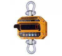 Весы крановые CAS CASTON-III 50 THD-RF (с пультом TWN)