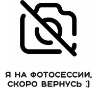 Термоголовка Argox iX4-250